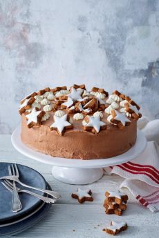 Schoko-Zimtsterntorte